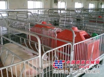 《@青州恒丰养殖》【仔猪保育床|仔猪保育床批发|山东仔猪保育床】