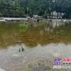 城市水景设计价格/长沙森泉环保科技