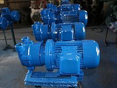 江苏水环式真空泵价格|销量好的SK-0.8B水环式真空泵推荐