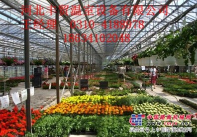 吉林智能花卉溫室大棚/豐貿溫室設備