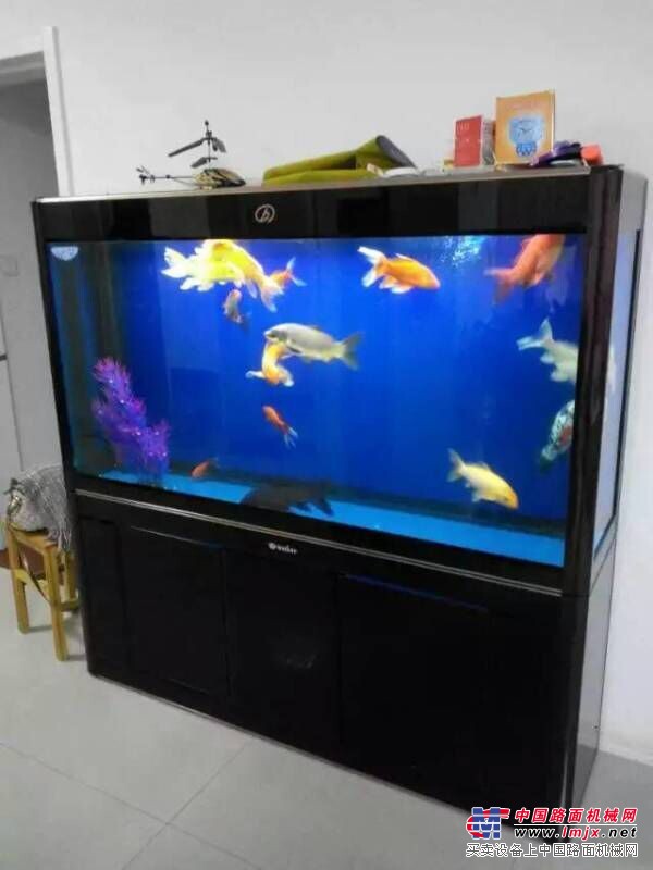 “玻璃热弯产品”“鱼缸灯具配件”“水族箱灯具配件”“鱼缸厂”万宝