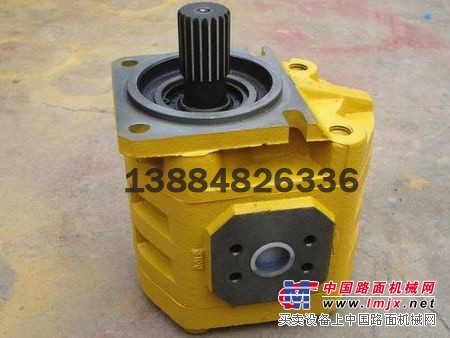 青州挖掘機齒輪油泵：高壓齒輪油泵去哪裏買