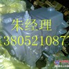 福格勒摊铺机S1700液压泵质优价优
