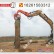 供應挖掘機打管樁設備 拉森鋼板樁施工機械液壓打拔樁機