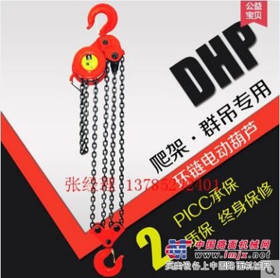 供應安全可靠的爬架電動葫蘆價格|宇雕DHP環鏈電動葫蘆