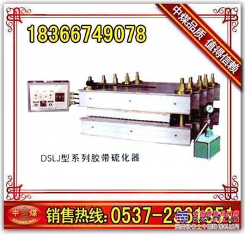 硫化机 DGLJL-800硫化机