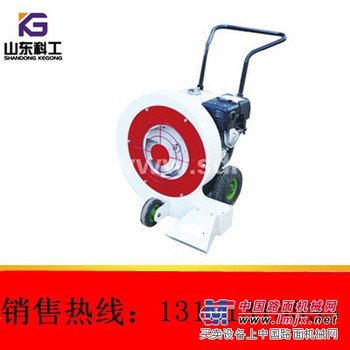 大功率450手推马路吹风机