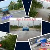 全新洒水车、工程绿化二手洒水车、全年营销