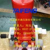 山东泰丰插装阀集成块A