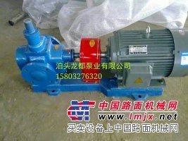 供应重庆YCB滤油机专用圆弧齿轮泵 