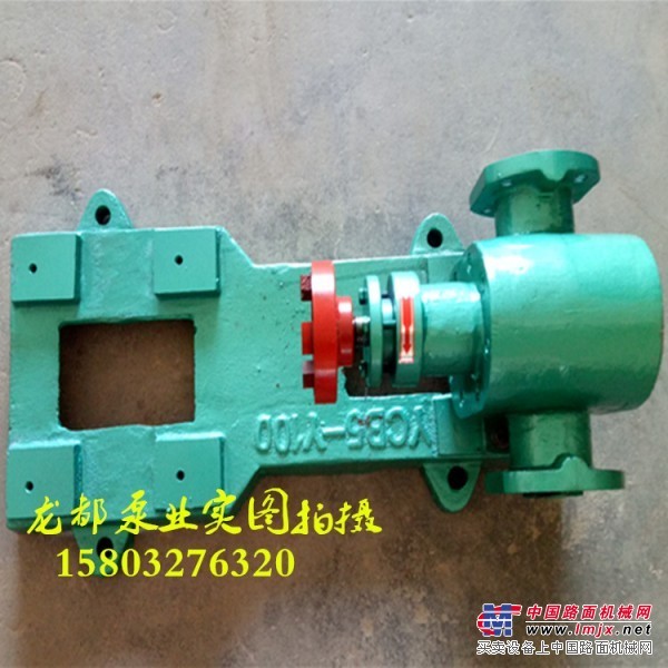 2CY-7.5/2.5齿轮油泵 齿轮式输油泵 注油泵 燃油泵