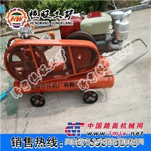 小型防汛打桩机 防汛抢险植桩机价格便宜