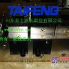 供应山东泰丰插装阀集成块C