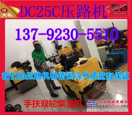 浙江溫州手推式小型壓路機 雙輪振動壓路機 給你超低的價格