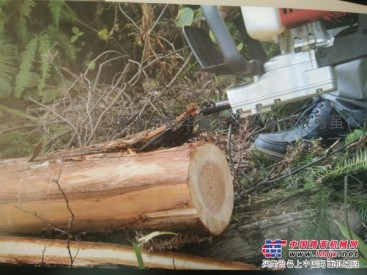 木材脫皮機-AT20 小型汽油機動樹皮剝離機械化木材加工