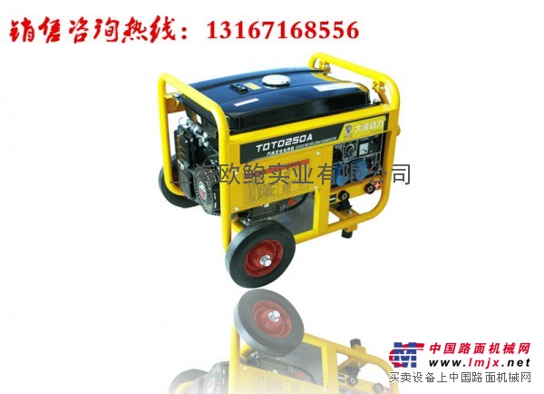 可移動的250A合資汽油發電電焊機價格