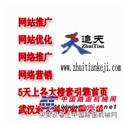 seo教程/网站怎么优化/量化