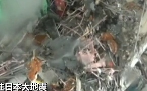 东京电力公布4号机组内部画面