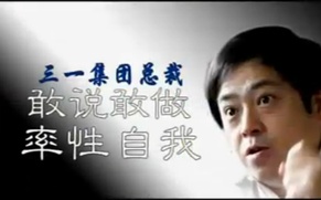 向文波——企业家评论员(上)