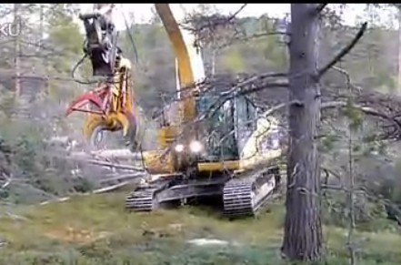 卡特挖掘机加装附件伐树施工现场版演示