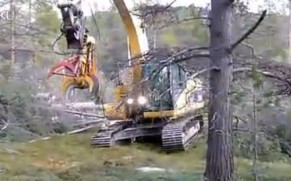 卡特挖掘机加装附件伐树施工现场版演示