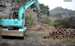 新源挖机五爪夹木器施工视频