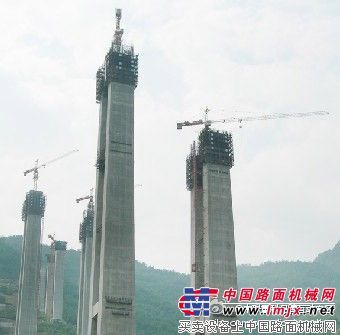 中聯重科TC5013塔式起重機參建世界第一高橋