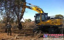 徐工：首批林业挖机顺利抵澳施工