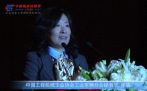 中国工程机械工业协会工业车辆分会秘书长张洁在林德（中国）20周年庆典上的讲话