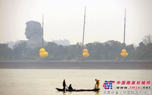 三一起重機吊起長沙橘子洲10隻大黃鴨  最高達18米