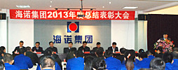 海诺集团举行2013年度总结表彰大会
