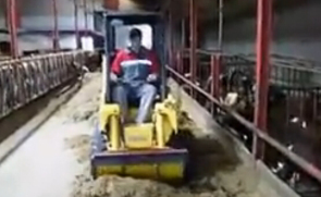 盖尔滑移装载机牛场养殖中心施工视频