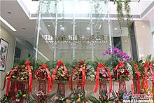 花篮锦簇