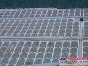 重庆酉沿高速公路四分部高填方完成