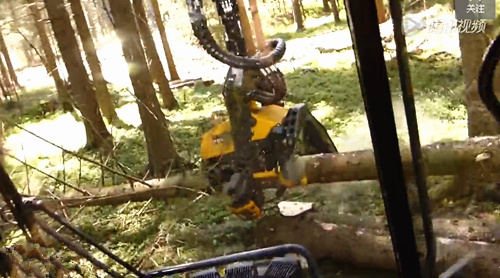 长得跟蝎子一样的伐木机，你造吗？