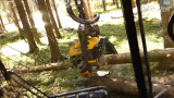 长得跟蝎子一样的伐木机，你造吗？