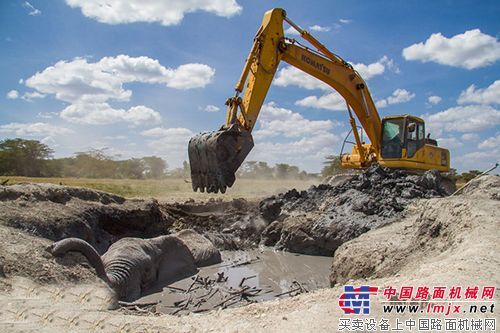 肯尼亚大象深陷泥坑12小时 小松挖掘机相救逃出生天