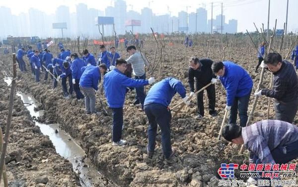 安徽合力組織員工開展認建認養樹木活動