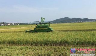 杂交水稻高产丰收 中联重科谷王助力雨季抢收