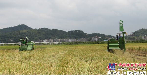 中联重科谷王水稻机启动三湘早稻第一镰