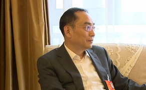 詹纯新：混合所有制的确能给企业带来活力