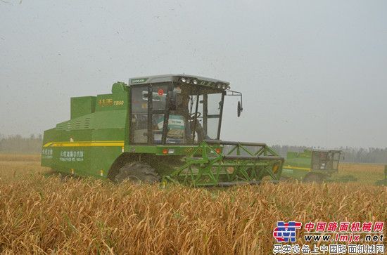 河南省副省長王鐵觀摩中聯重科穀子機械化收獲演示