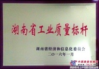 恒天九五被认定为湖南省工业质量标杆