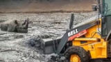 南非犀牛深陷泥潭 被裝載機救出