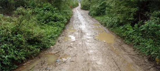 装载机在雨季的保养很重要