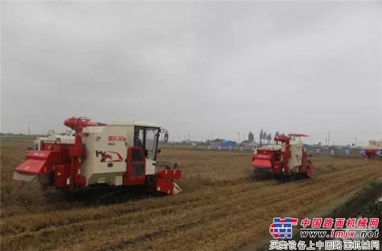 发力全程机械化 雷沃农业装备提速“三夏”