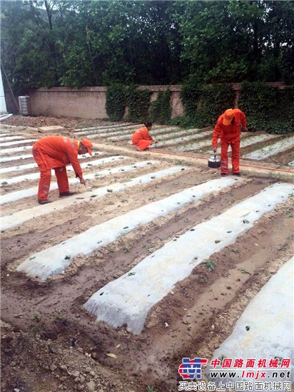 甘肃：秦州公路段加强一线菜园子建设