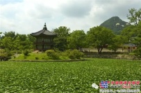 方圆集团组织部分职工分两批赴韩国观光游览