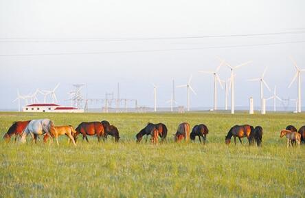 草原上的風力發電機