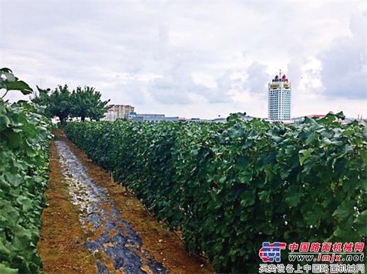 方圆集团工业旅游铺开金秋时节新画卷